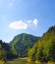 Trail through Dunajec valley